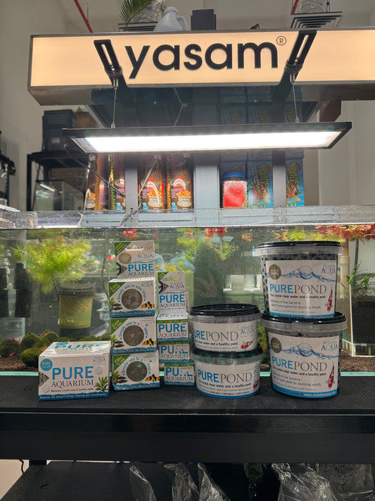 EVOLUTION AQUA - Live Bacteria for maintaining crystal clear and healthy water