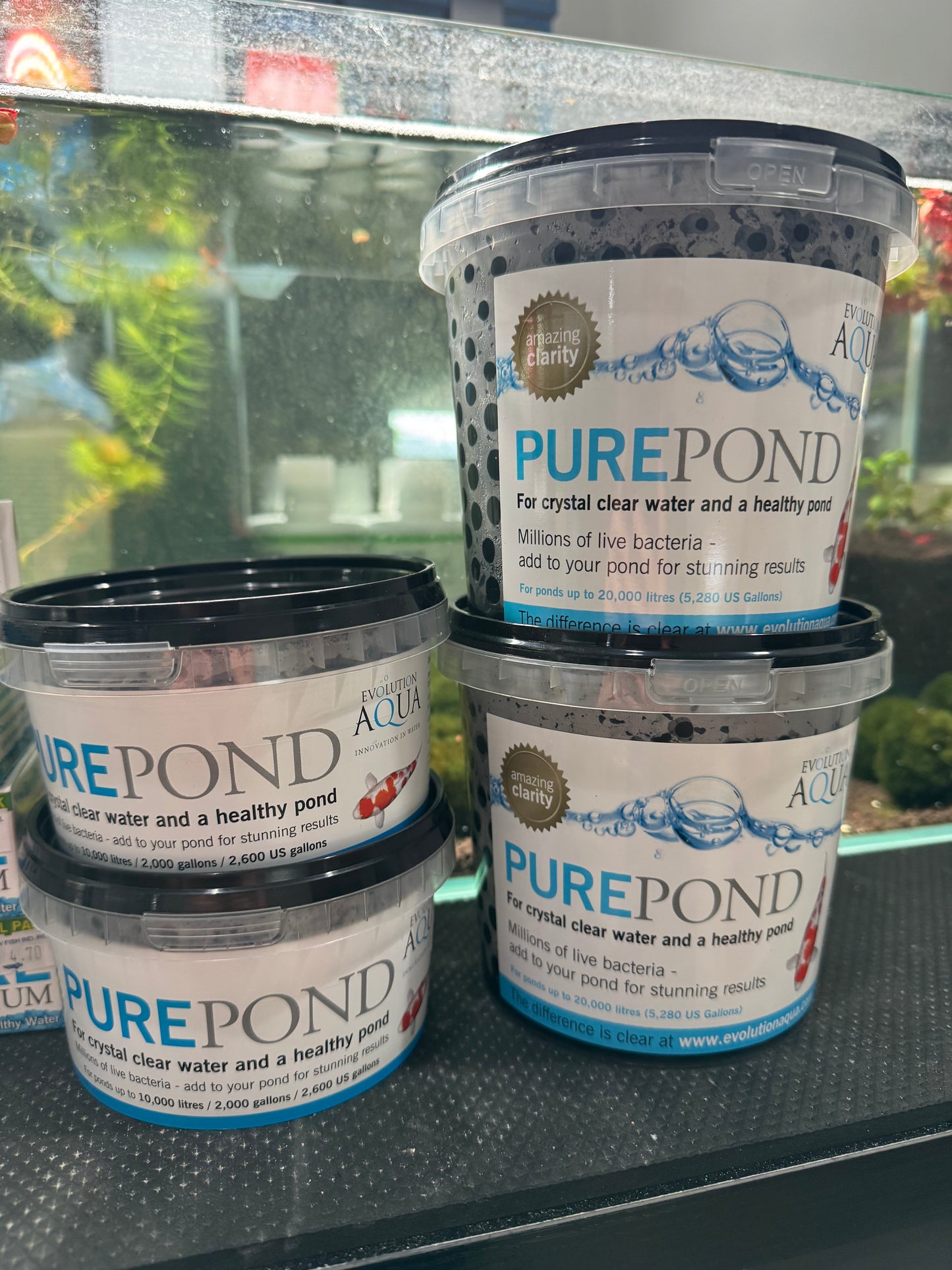 EVOLUTION AQUA - Live Bacteria for maintaining crystal clear and healthy water