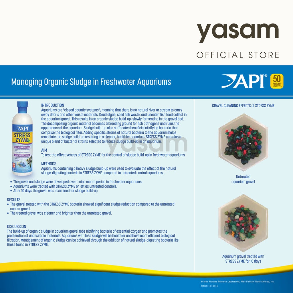 API - Stres Zyme +