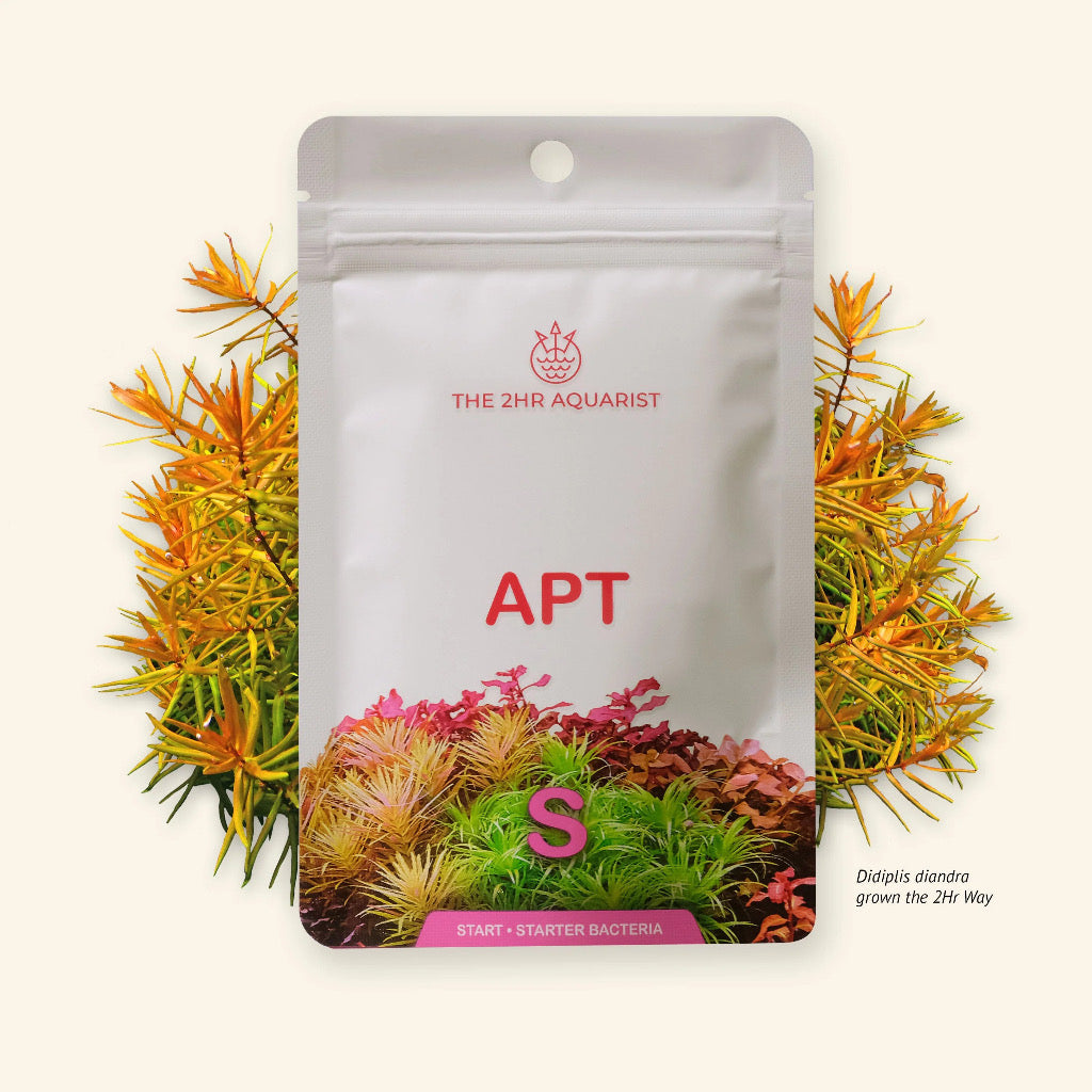 APT - START 起始细菌 + 底物富集