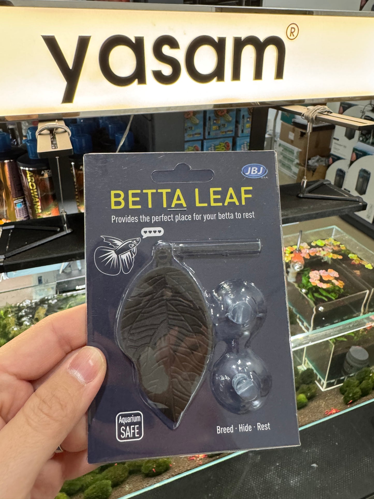 JBJ - Betta Leaf Floating with suction to stick to glass Black