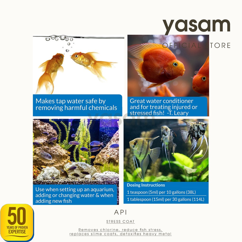 API - 应力涂层 +