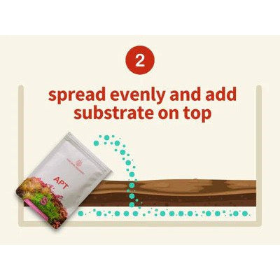 APT - START 起始细菌 + 底物富集