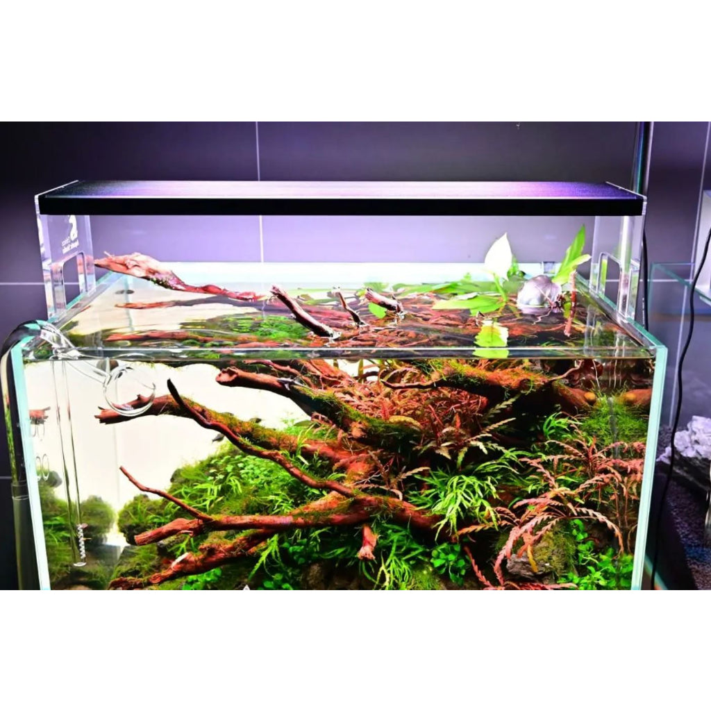 CHIHIROS - 亚克力支架系列 WRGB II