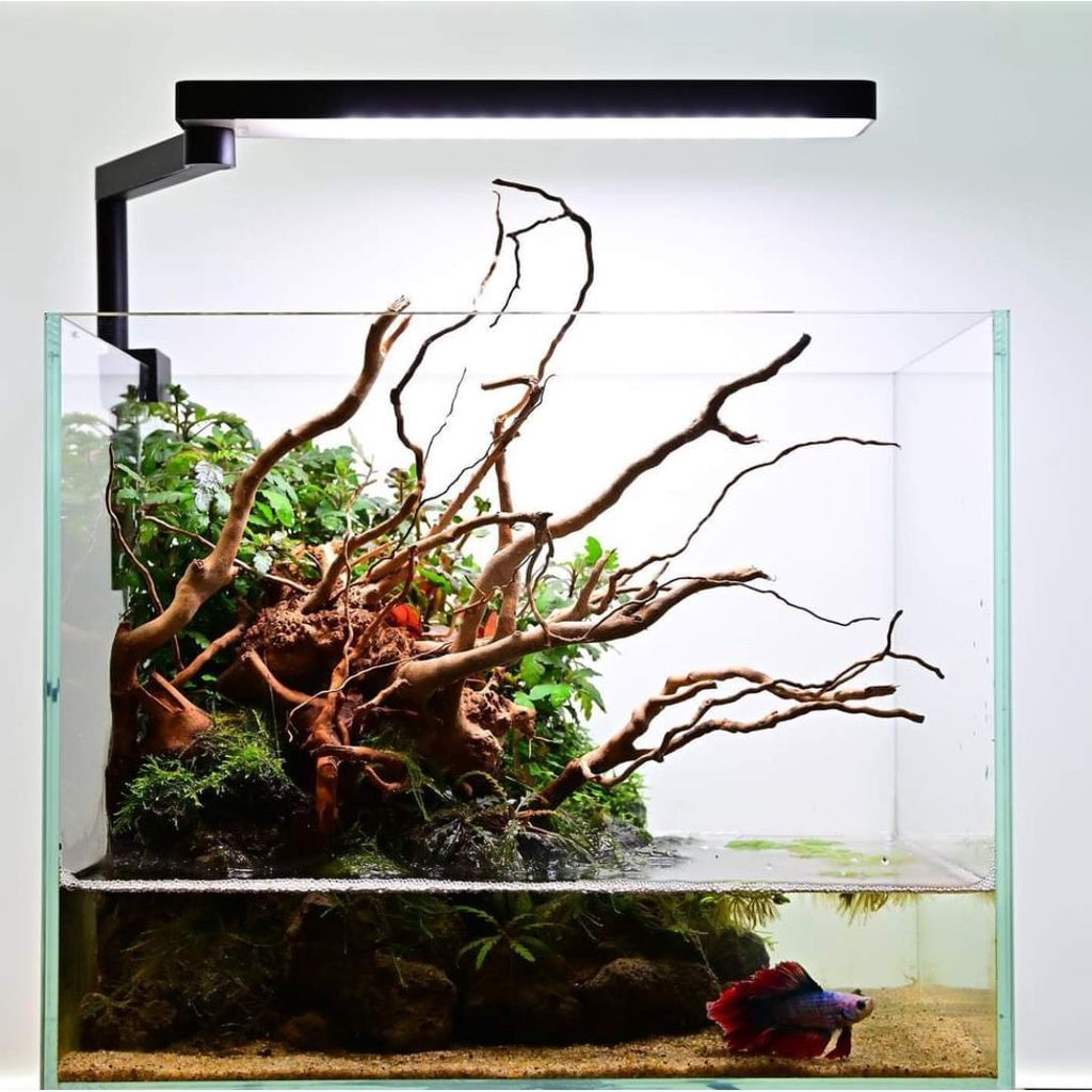 CHIHIROS - CII 系列桌面 LED 水族箱水族造景灯,内置蓝牙(C2 RGB/ C2 白色)