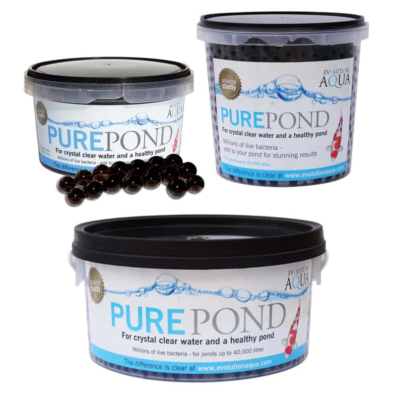 EVOLUTION AQUA - Live Bacteria for Pond 8,000,000,000 Bacteria Count for Clean Clear Aquarium