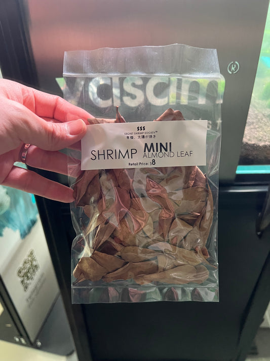 YASAM - 桑葚、杏仁叶和干 Catappa 树皮,带洞穴