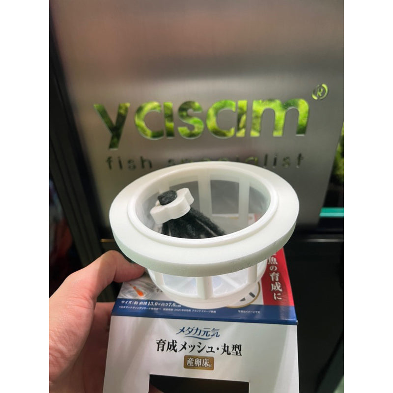 GEX - Medaka Floating Separator for hatching eggs (comes with 1 white floating spawning sponge)