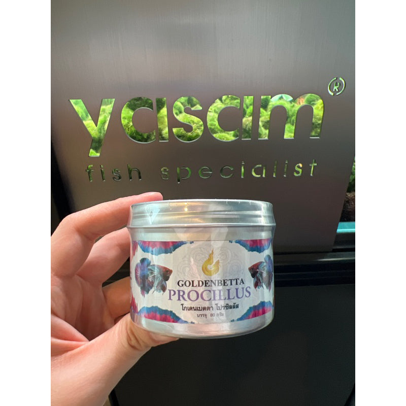 GOLDEN BETTA - Speed Growth Powder Procillus(薯条和成年斗鱼的水分增强剂)