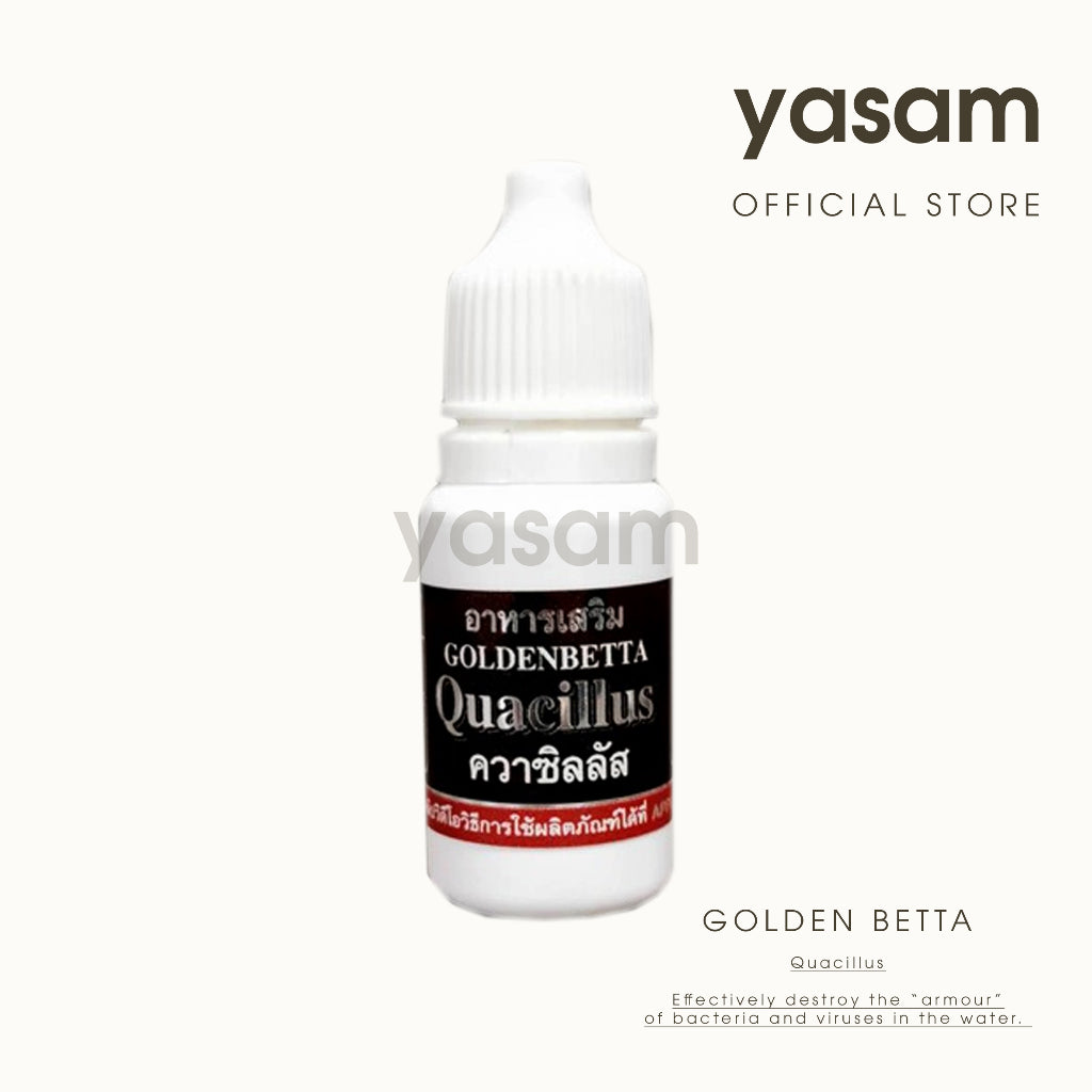 GOLDEN BETTA - 薯条液体饲料 Quacillus(斗鱼细菌处理)