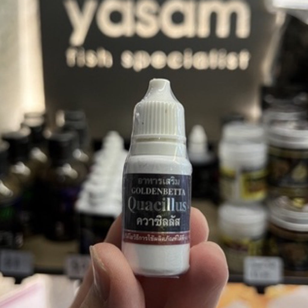 GOLDEN BETTA - 薯条液体饲料 Quacillus(斗鱼细菌处理)