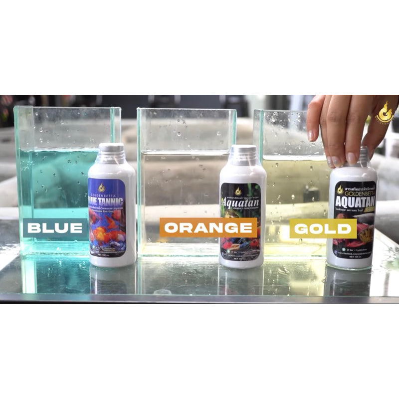 GOLDEN BETTA - Ketapang Powder Tantanic(用于 Betta 和斗鱼的颜色强化、单宁)