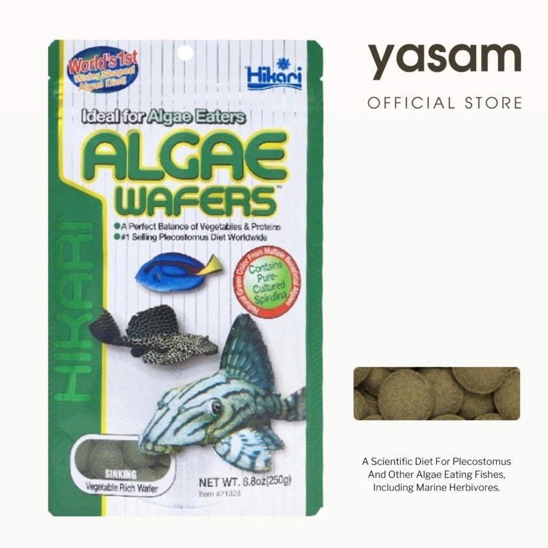 HIKARI - Wafer Alga untuk pemakan Alga (makanan ikan pleco dan otto)