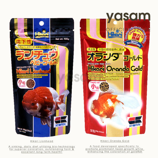 HIKARI - 金鱼颗粒(Lionhead / Oranda Gold)