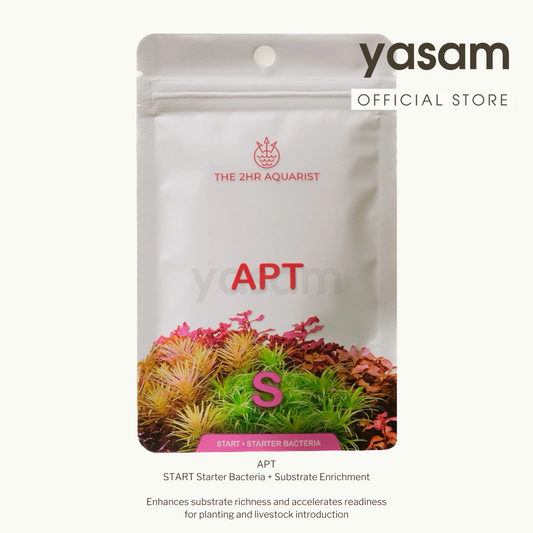 APT - START 起始细菌 + 底物富集