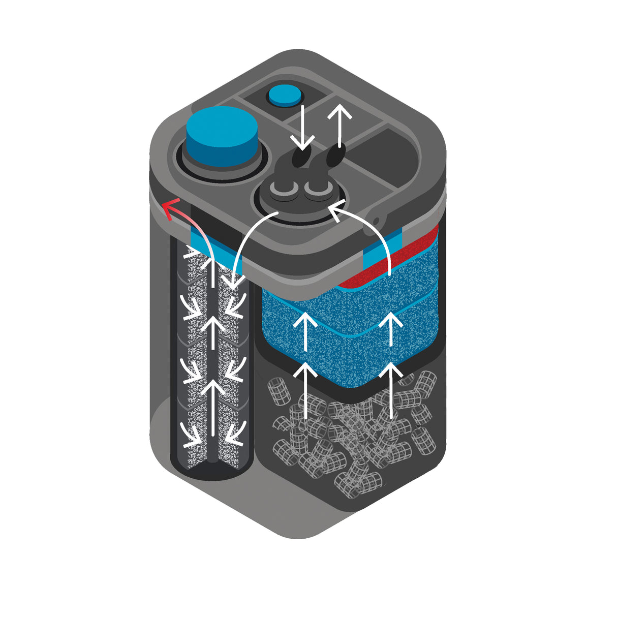 OASE Biomaster -(外部罐式过滤器)市场上性能最佳的过滤器