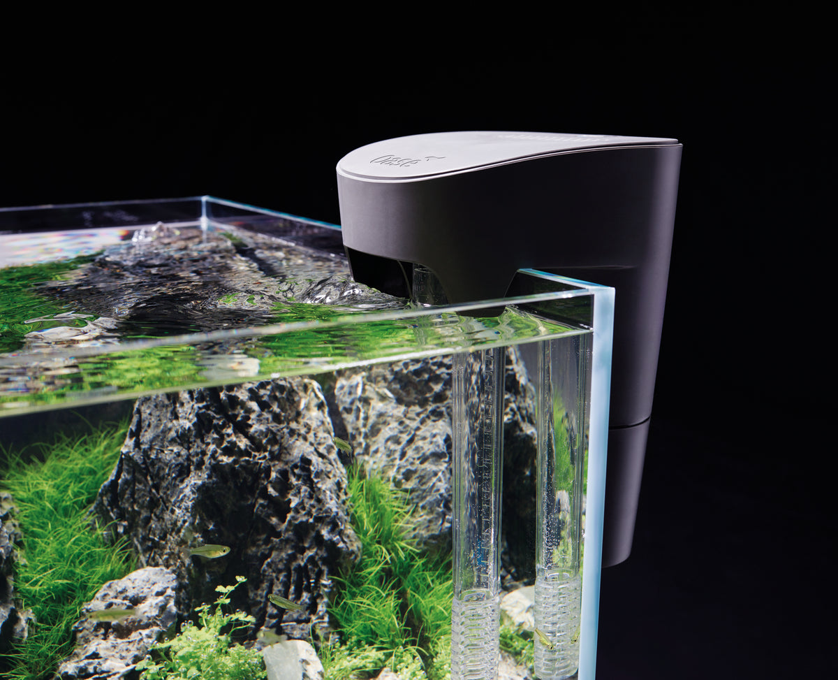 OASE - Biostyle 75、115 适用于水族箱和 Aquascape 的挂式过滤器 - 性能最高的过滤器品牌