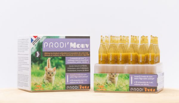 Prodi'Mouv - Probiotics for Cat, Dogs Supplement for joint and muscle pain (Small, Medium Large Dogs)