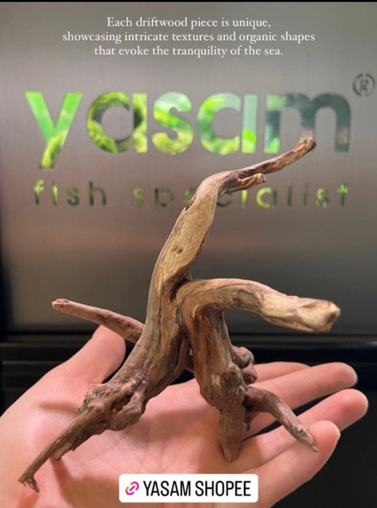 YASAM - 真正的浮木(精确的一块)