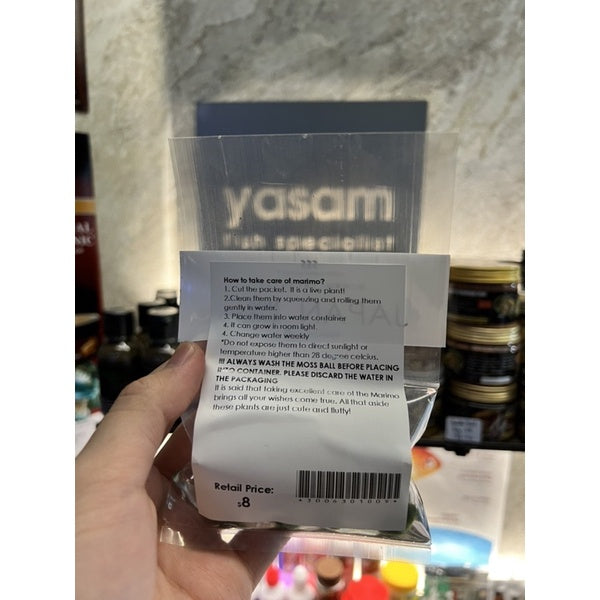 YASAM - Live Plant Mini Moss Ball Marimo moss