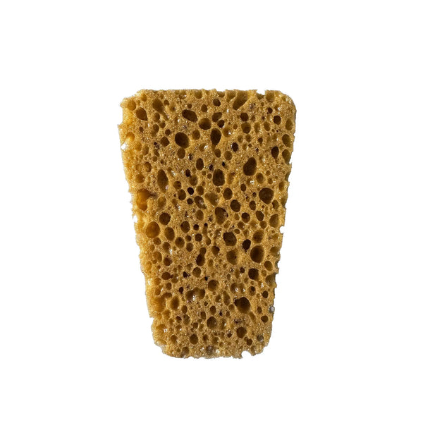 DENNERLE - Cleanator Cleaning sponge for aquariums glass tanks removes the most stubborn algae