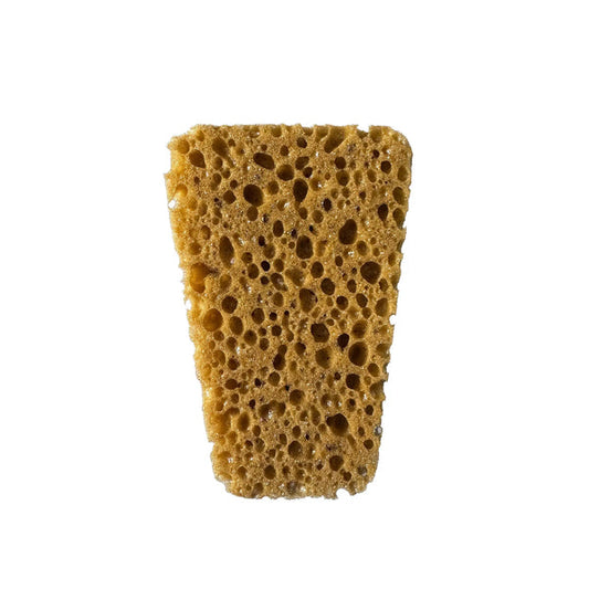 DENNERLE - Cleanator Cleaning sponge for aquariums glass tanks removes the most stubborn algae