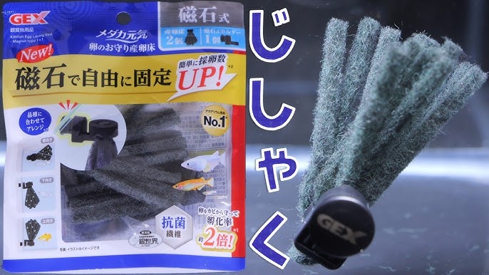GEX - Medaka Japanese Rice Fish Egg Amulet Spawning Sponge, Magnetic Type, 2-Piece Set