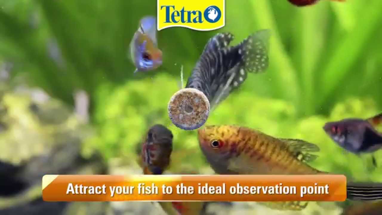 TETRA - FunTips Tablets 20 Tab for Aquarium Stick on Glass Food for tropical fishes