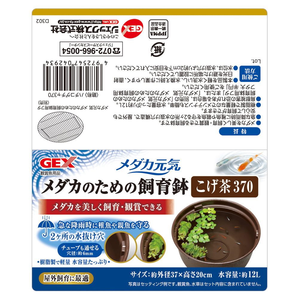 GEX - Medaka Rice Fish, Killifish Plastic Bowl 37-42cm Black Brown Branite
