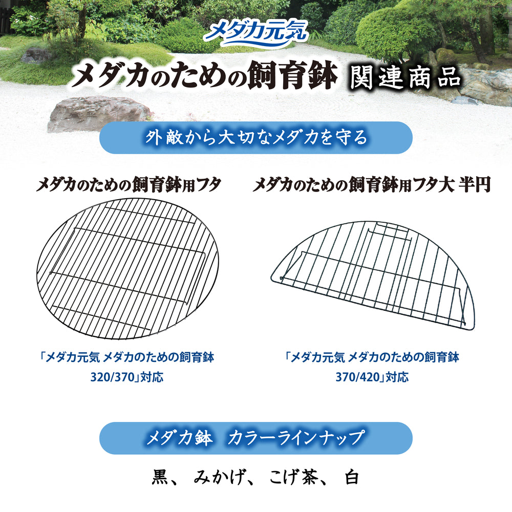 GEX - Medaka Rice Fish, Killifish Plastic Bowl 37-42cm Black Brown Branite