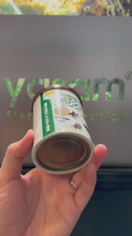 HIKARI - 生物纯冷冻干饲料(TUBIFEX 蠕虫、血蠕虫、水蚤、丰年虾)