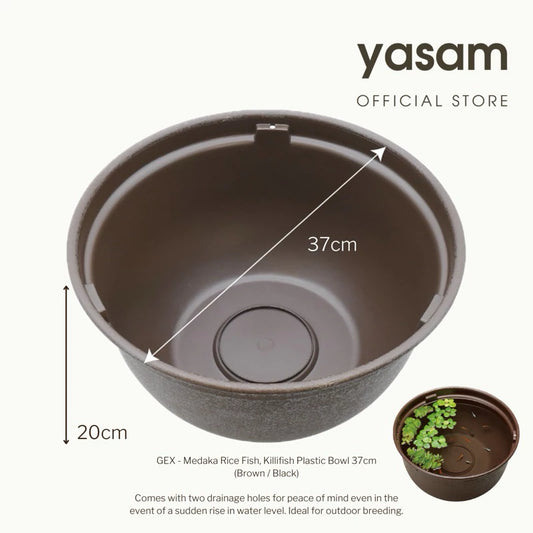 GEX - Medaka Rice Fish, Killifish Plastic Bowl 37-42cm Black Brown Branite