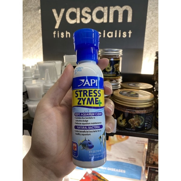 API - Stres Zyme +
