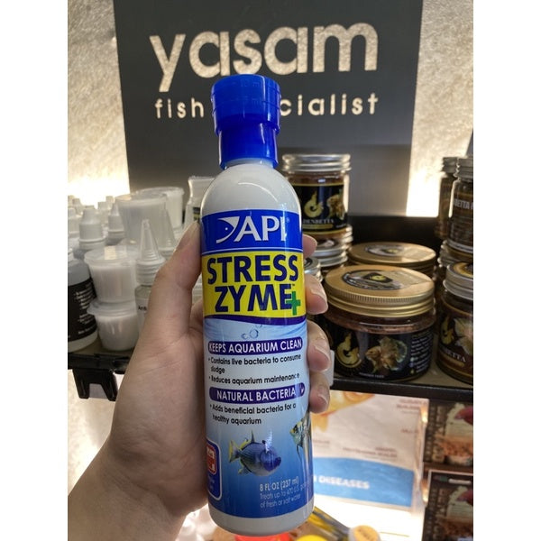 API - Stres Zyme +