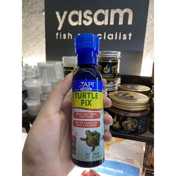 API - Perbaikan Penyu