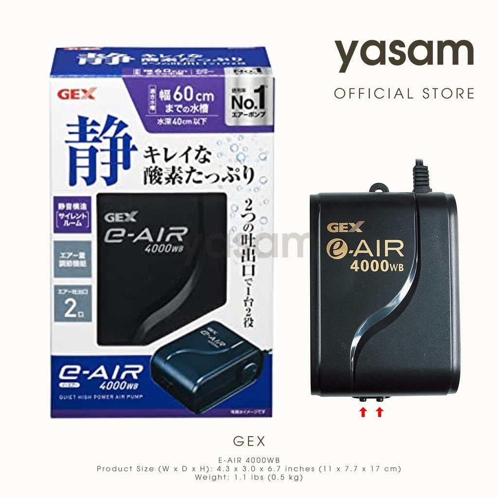 GEX - e-AIR大功率气泵(4种类型:1000SB 2000SB 4000SB)