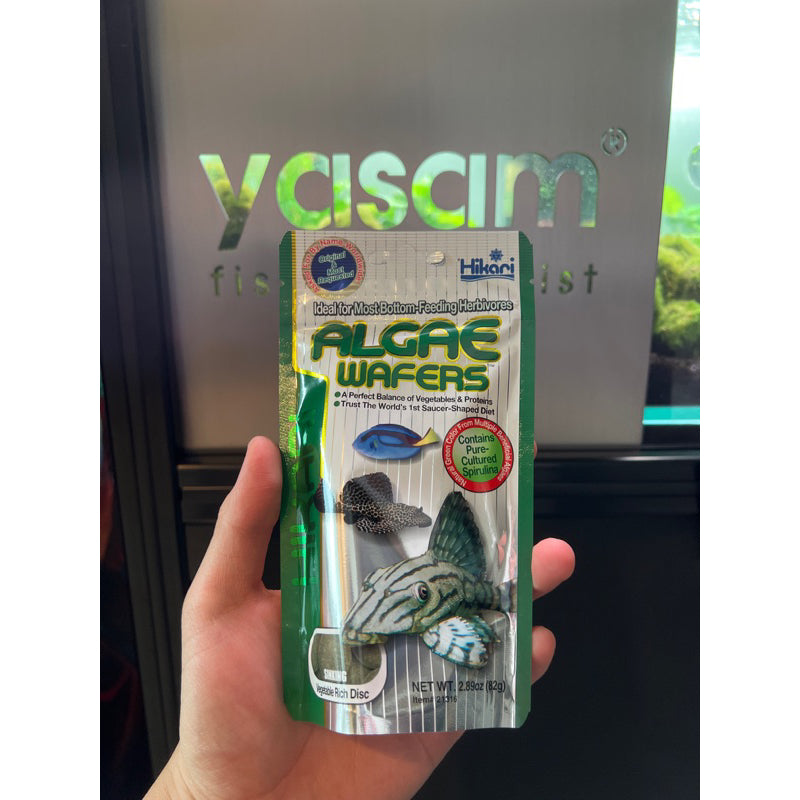 HIKARI - Wafer Alga untuk pemakan Alga (makanan ikan pleco dan otto)