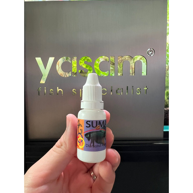 SUMA - 斗鱼斗士系列钻石4G龙虎