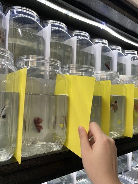 YASAM - Betta tank divider White, Blue, Yellow (10pcs)