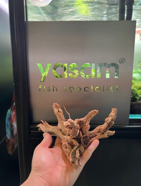 YASAM - Genuine Driftwood (Exact Piece)