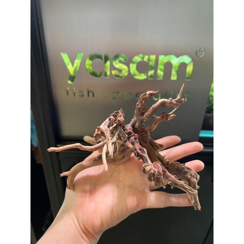 YASAM - Genuine Driftwood (Exact Piece)