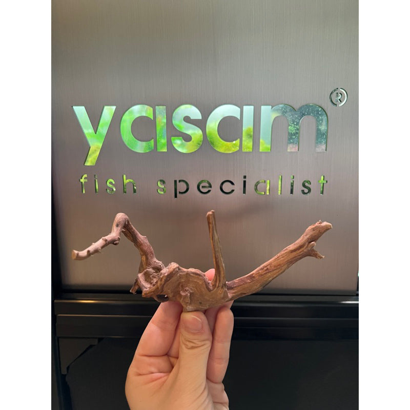 YASAM - Genuine Driftwood (Exact Piece)