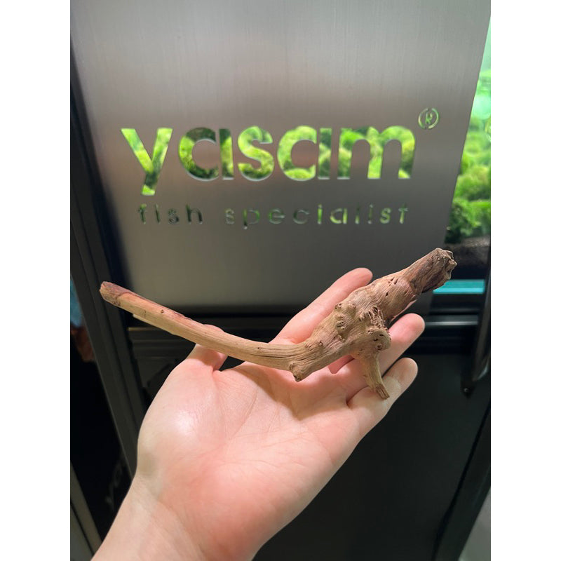 YASAM - Genuine Driftwood (Exact Piece)