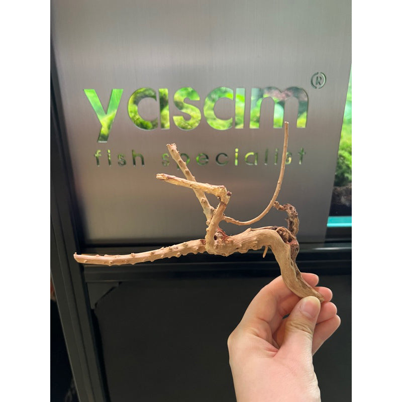 YASAM - Genuine Driftwood (Exact Piece)