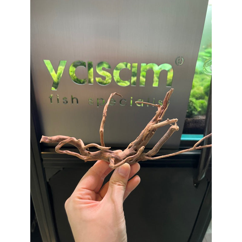 YASAM - Genuine Driftwood (Exact Piece)