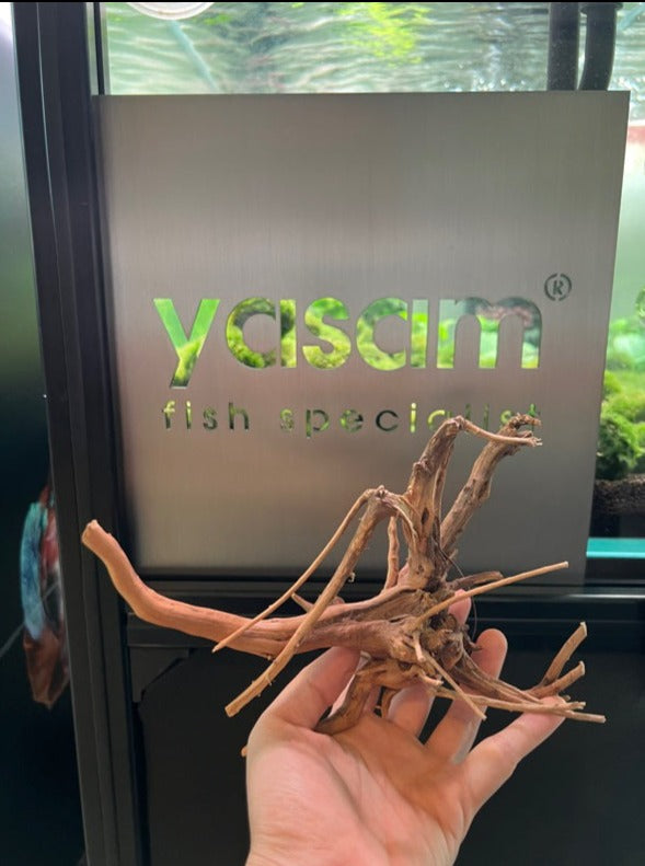 YASAM - Genuine Driftwood (Exact Piece)