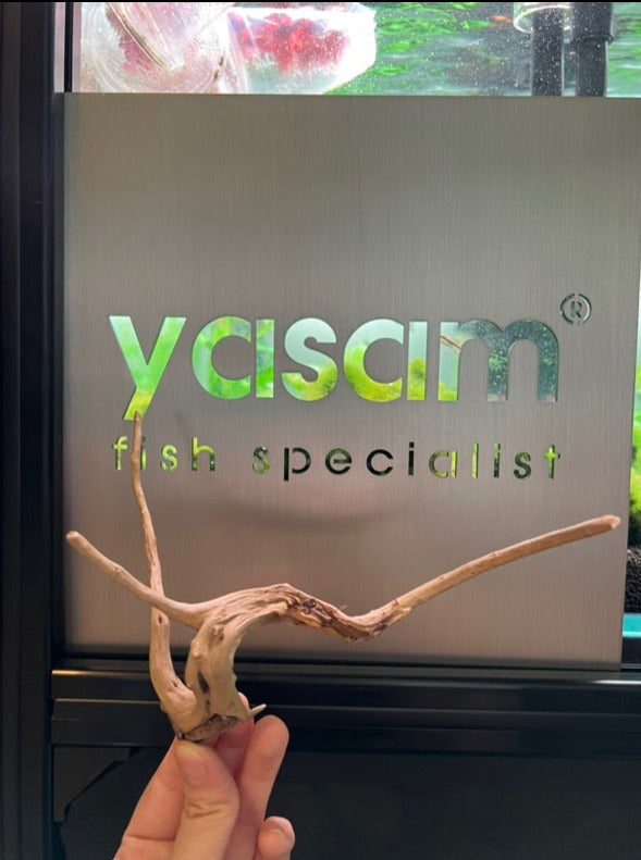 YASAM - Genuine Driftwood (Exact Piece)