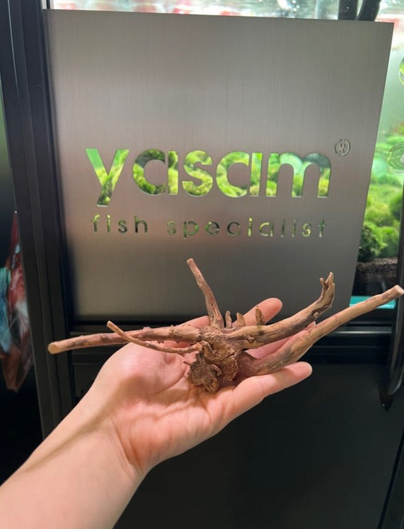 YASAM - Genuine Driftwood (Exact Piece)