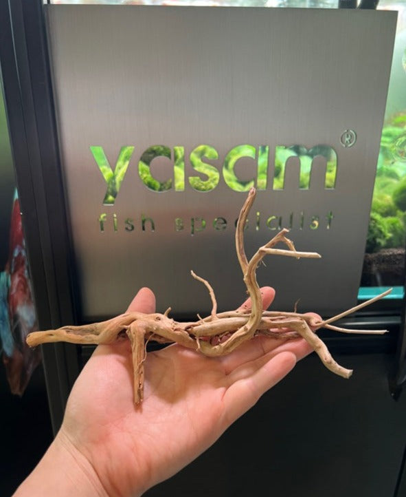 YASAM - Genuine Driftwood (Exact Piece)