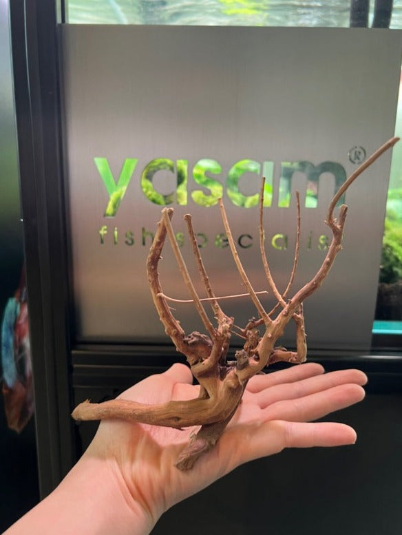 YASAM - Genuine Driftwood (Exact Piece)